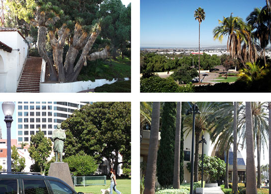 12-2012-Taylor-Reunion